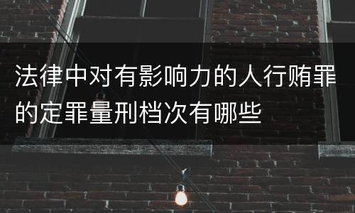 法律中对有影响力的人行贿罪的定罪量刑档次有哪些