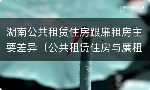 湖南公共租赁住房跟廉租房主要差异（公共租赁住房与廉租房的区别）