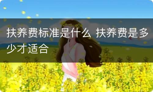 扶养费标准是什么 扶养费是多少才适合