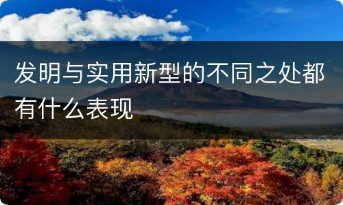 发明与实用新型的不同之处都有什么表现