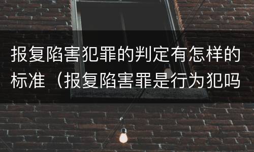报复陷害犯罪的判定有怎样的标准（报复陷害罪是行为犯吗）
