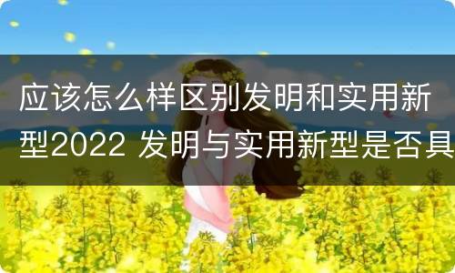 应该怎么样区别发明和实用新型2022 发明与实用新型是否具有实用性