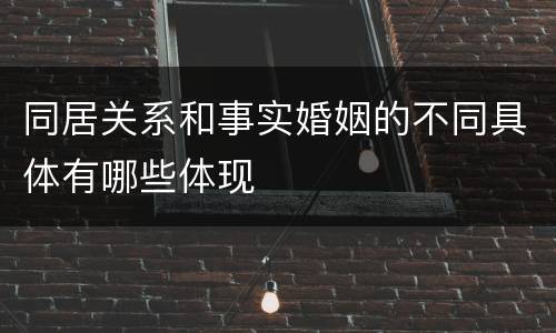 同居关系和事实婚姻的不同具体有哪些体现