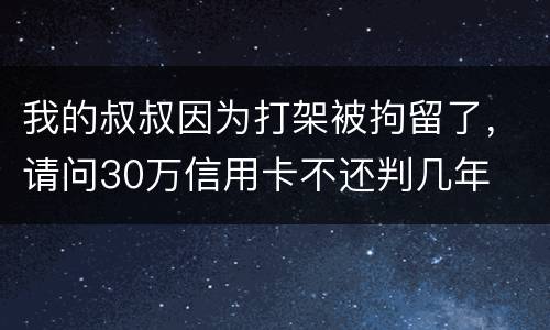 我的叔叔因为打架被拘留了，请问30万信用卡不还判几年