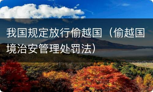 我国规定放行偷越国（偷越国境治安管理处罚法）