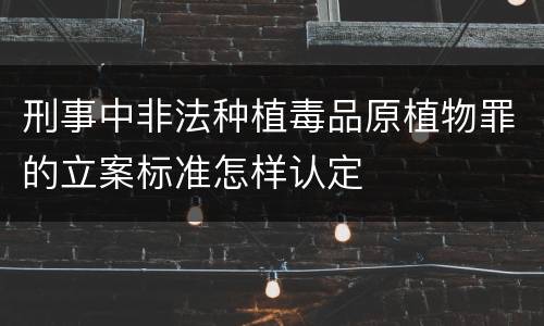 刑事中非法种植毒品原植物罪的立案标准怎样认定