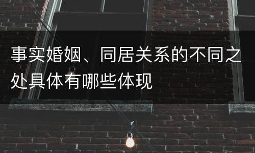 事实婚姻、同居关系的不同之处具体有哪些体现