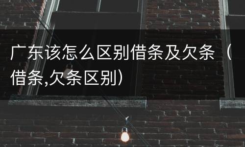 广东该怎么区别借条及欠条（借条,欠条区别）