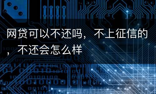 网贷可以不还吗，不上征信的，不还会怎么样