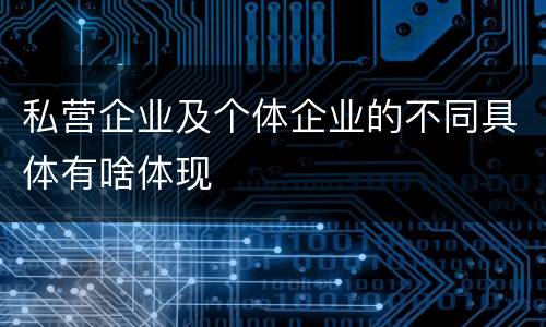 私营企业及个体企业的不同具体有啥体现