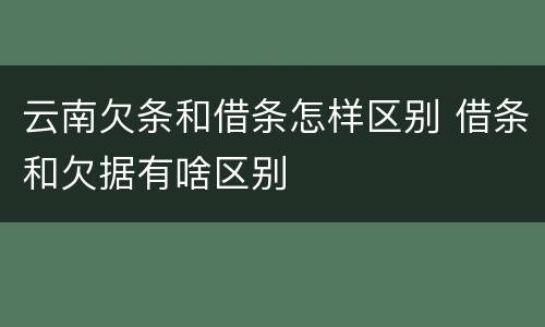 云南欠条和借条怎样区别 借条和欠据有啥区别