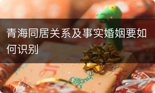 青海同居关系及事实婚姻要如何识别
