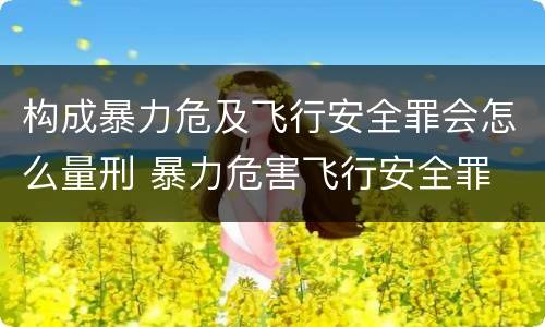 构成暴力危及飞行安全罪会怎么量刑 暴力危害飞行安全罪