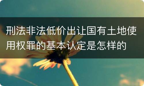 刑法非法低价出让国有土地使用权罪的基本认定是怎样的