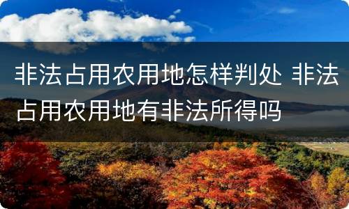 非法占用农用地怎样判处 非法占用农用地有非法所得吗