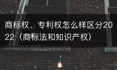 商标权、专利权怎么样区分2022（商标法和知识产权）