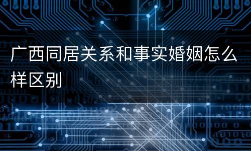 广西同居关系和事实婚姻怎么样区别