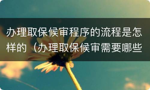 办理取保候审程序的流程是怎样的（办理取保候审需要哪些材料）