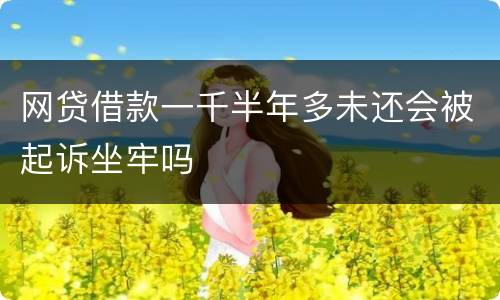 网贷借款一千半年多未还会被起诉坐牢吗