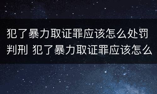 犯了暴力取证罪应该怎么处罚判刑 犯了暴力取证罪应该怎么处罚判刑的人