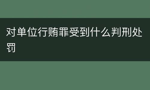 对单位行贿罪受到什么判刑处罚
