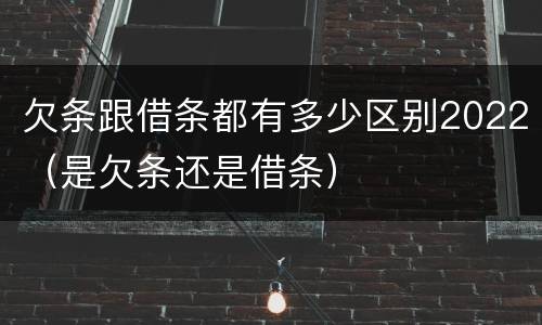 欠条跟借条都有多少区别2022（是欠条还是借条）