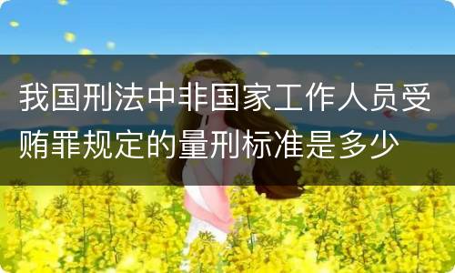 我国刑法中非国家工作人员受贿罪规定的量刑标准是多少