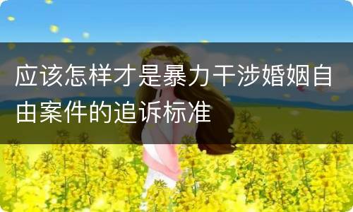 应该怎样才是暴力干涉婚姻自由案件的追诉标准
