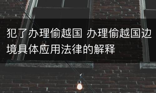 犯了办理偷越国 办理偷越国边境具体应用法律的解释