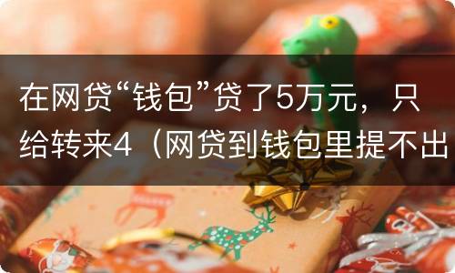 在网贷“钱包”贷了5万元,只给转来4(网贷到钱包里提不出来用还吗)