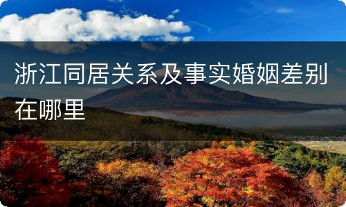 浙江同居关系及事实婚姻差别在哪里