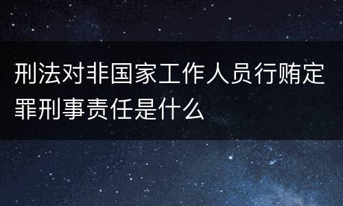刑法对非国家工作人员行贿定罪刑事责任是什么