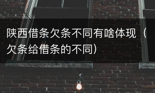 陕西借条欠条不同有啥体现（欠条给借条的不同）