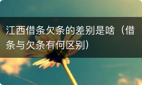 江西借条欠条的差别是啥（借条与欠条有何区别）