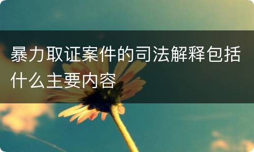 暴力取证案件的司法解释包括什么主要内容
