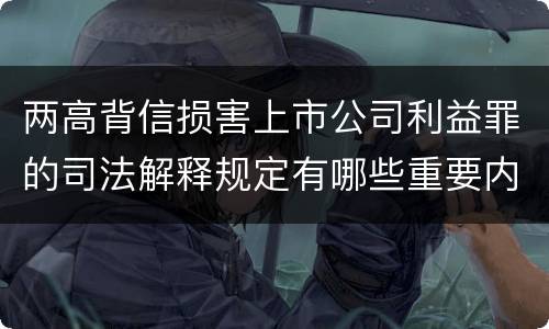 两高背信损害上市公司利益罪的司法解释规定有哪些重要内容