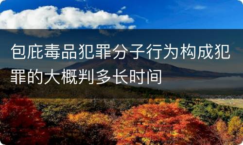 包庇毒品犯罪分子行为构成犯罪的大概判多长时间