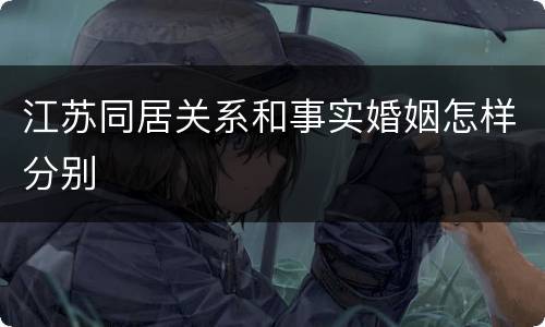 江苏同居关系和事实婚姻怎样分别