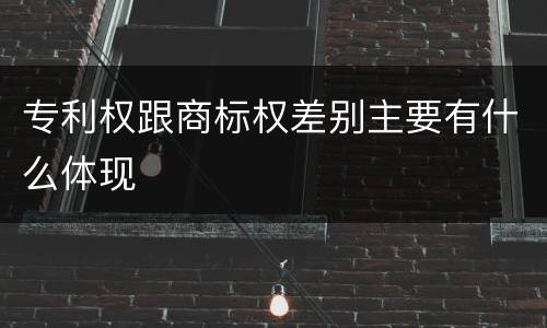 专利权跟商标权差别主要有什么体现