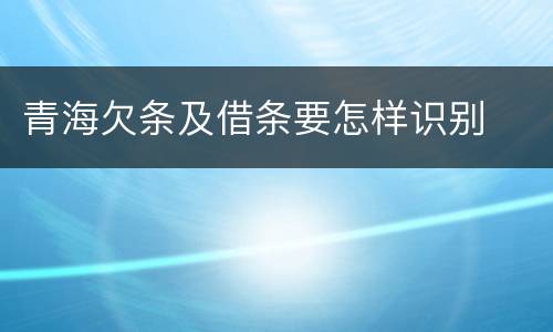 青海欠条及借条要怎样识别