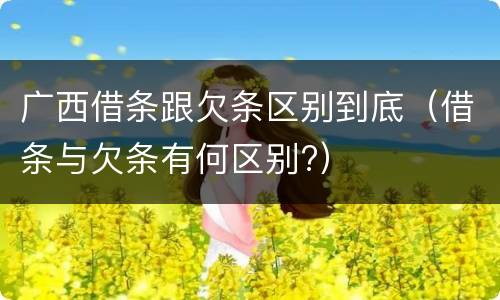 广西借条跟欠条区别到底（借条与欠条有何区别?）