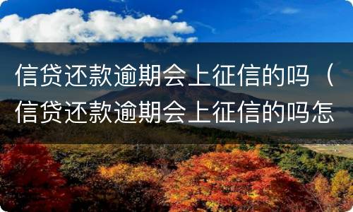 信贷还款逾期会上征信的吗（信贷还款逾期会上征信的吗怎么办）