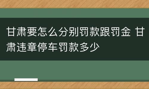 甘肃要怎么分别罚款跟罚金 甘肃违章停车罚款多少