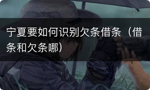 宁夏要如何识别欠条借条（借条和欠条哪）