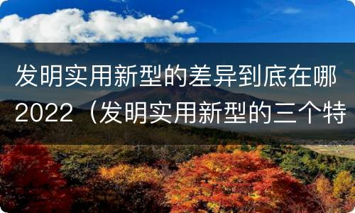 发明实用新型的差异到底在哪2022（发明实用新型的三个特点）