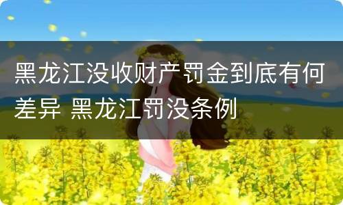 黑龙江没收财产罚金到底有何差异 黑龙江罚没条例
