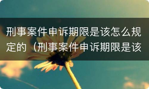 刑事案件申诉期限是该怎么规定的（刑事案件申诉期限是该怎么规定的呢）
