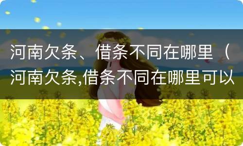 河南欠条、借条不同在哪里（河南欠条,借条不同在哪里可以起诉）