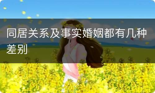 同居关系及事实婚姻都有几种差别