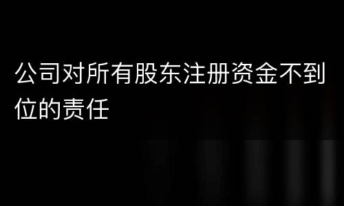 公司对所有股东注册资金不到位的责任